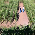 Lost